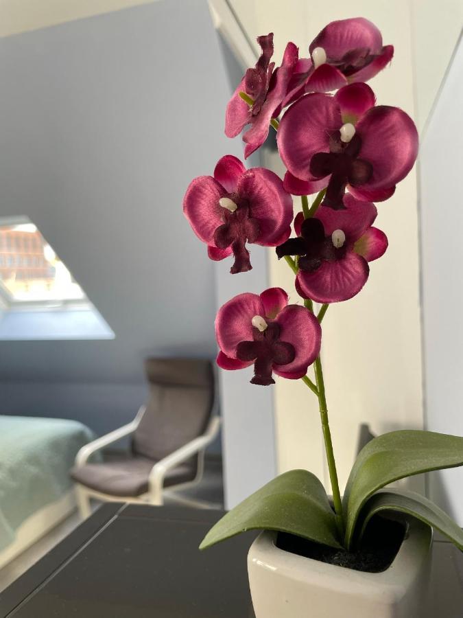 Deluxe Apartment Wiesbaden Dış mekan fotoğraf