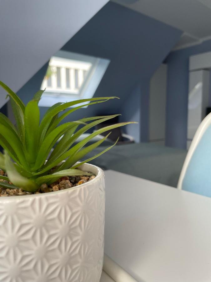 Deluxe Apartment Wiesbaden Dış mekan fotoğraf