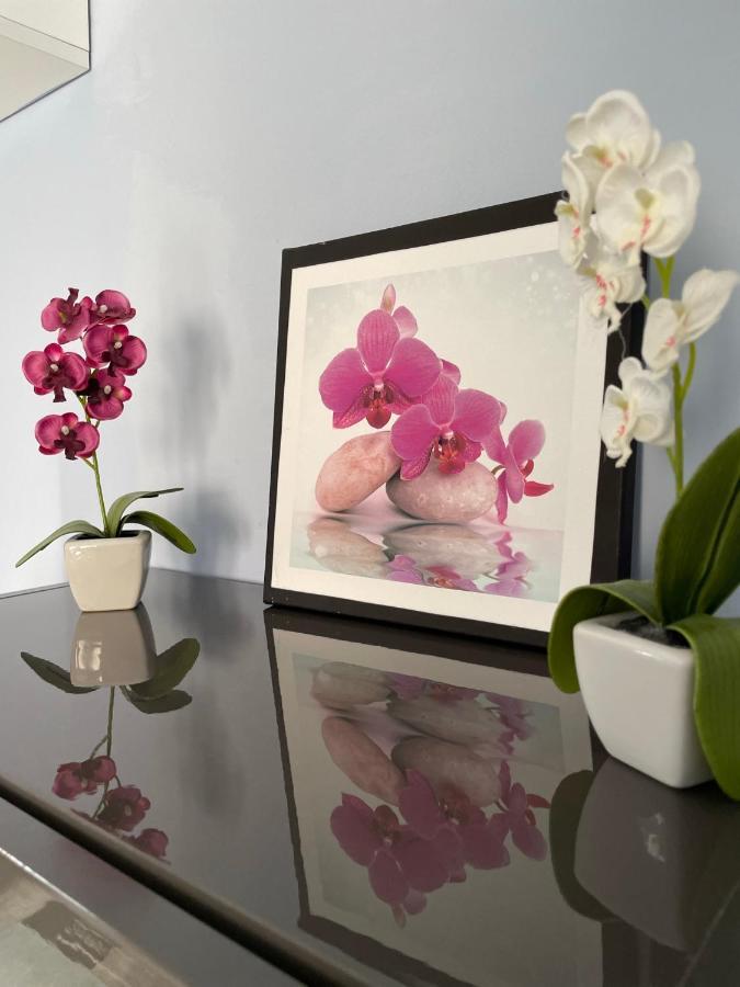 Deluxe Apartment Wiesbaden Dış mekan fotoğraf